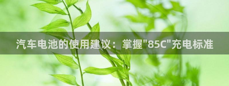 优发国际youfa：汽车电池的使用建议：掌握\