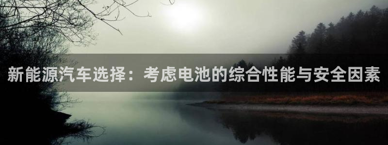 优发国际娱乐官网多少?：新能源汽车选择：考虑电池的综合性能与安全因素
