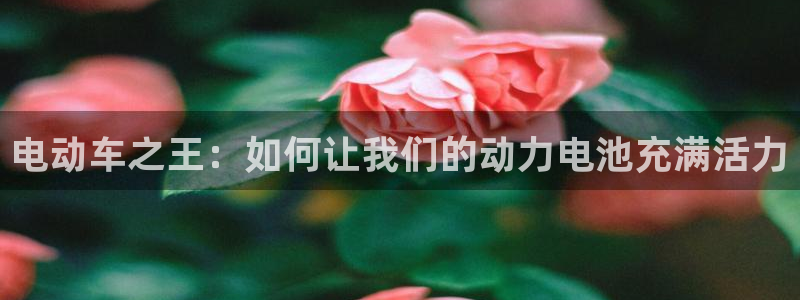 优发国际平台app下载安装：电动车之王：如何让我们的动力电池充满活力