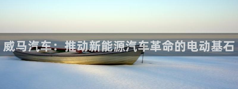 优发国际手机版官网：威马汽车：推动新能源汽车革命的电动基石