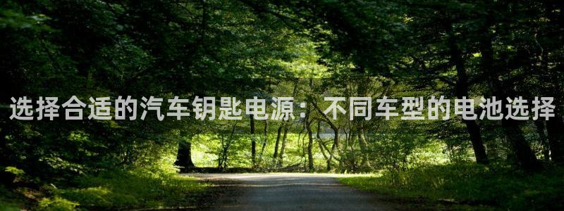 优发国际是合法的吗：选择合适的汽车钥匙电源：不同车型的电池选择