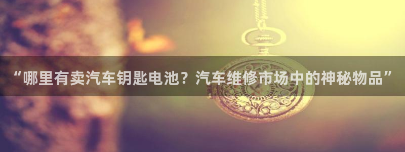 优发国际线上娱官网：“哪里有卖汽车钥匙电池？汽车维修市场中的神秘物品”