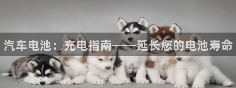 优发国际vip网址：汽车电池：充电指南——延长您的电池寿命