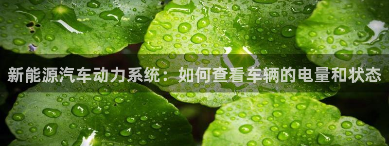 优发国际手机客户端下载安装：新能源汽车动力系统：如何查看车辆的电量和状态