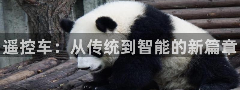优发国际手机版客户端下载：遥控车：从传统到智能的新篇章