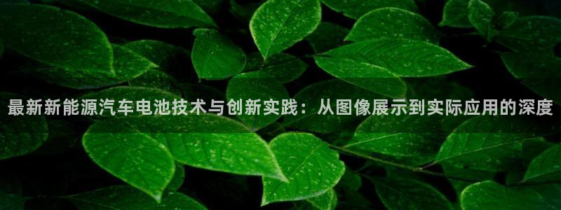 优发国际app官网下载安装：最新新能源汽车电池技术与创新实践：从图像展示到实际应用的深度