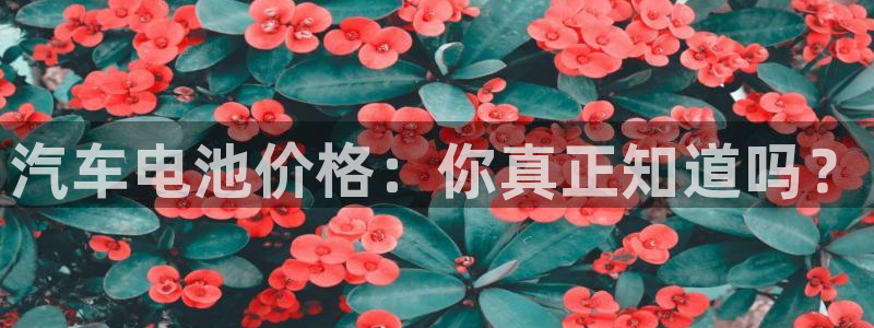 优发国际合并到哪里了啊