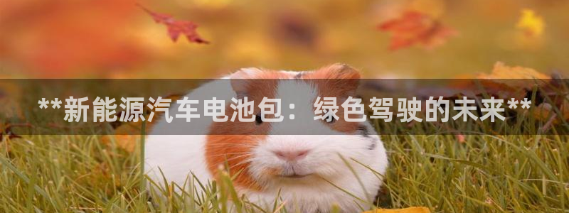 优发国际线上娱官网