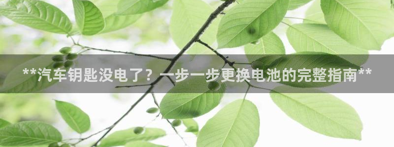 优发国际登录l8