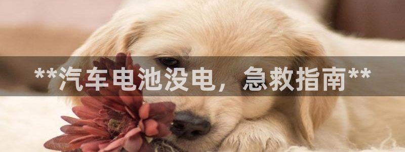 优发国际注册平台怎么样