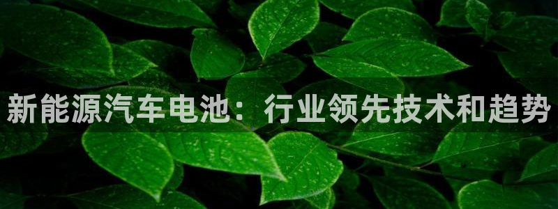 优发国际app登录不了