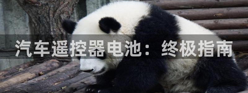 优发国际登录r8