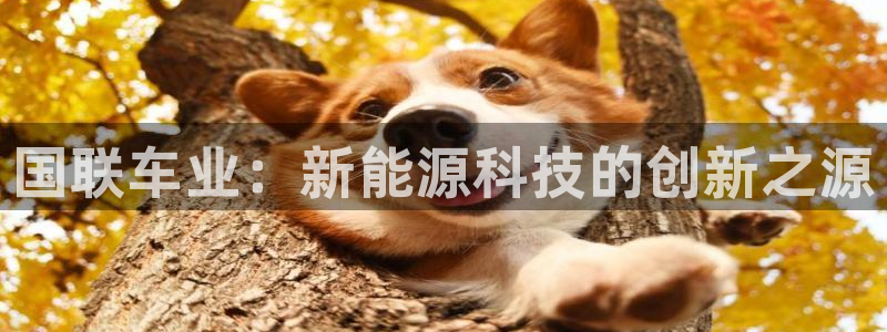 优发国际注册17