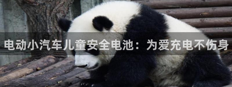 优发国际手机安装登录不了