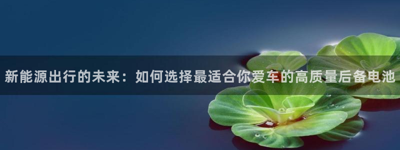 优发国际app登录