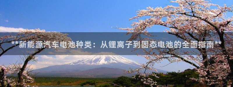 优发国际集团股份有限公司