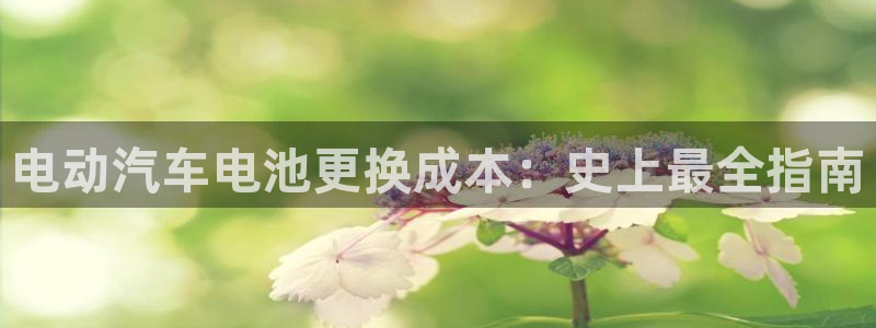 优发国际手机版网站入口