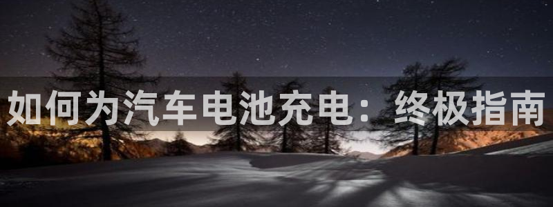 优发国际登录a：如何为汽车电池充电：终极指南
