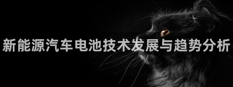 优发国际官网网站入口：新能源汽车电池技术发展与趋势分析