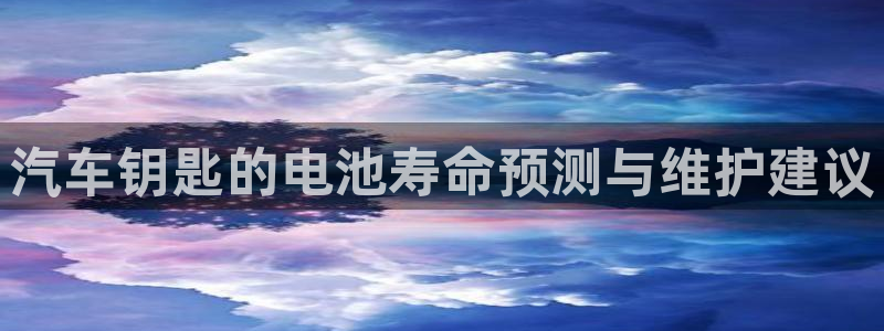 优发国际客服联系方式查询：汽车钥匙的电池寿命预测与维护建议