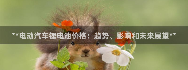 优发国际网官网：**电动汽车锂电池价格：趋势、影响和未来展望**