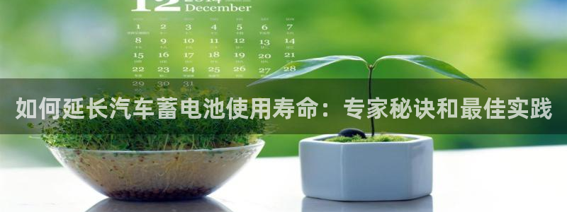 优发国际这个平台怎么样：如何延长汽车蓄电池使用寿命：专家秘诀和最佳实践